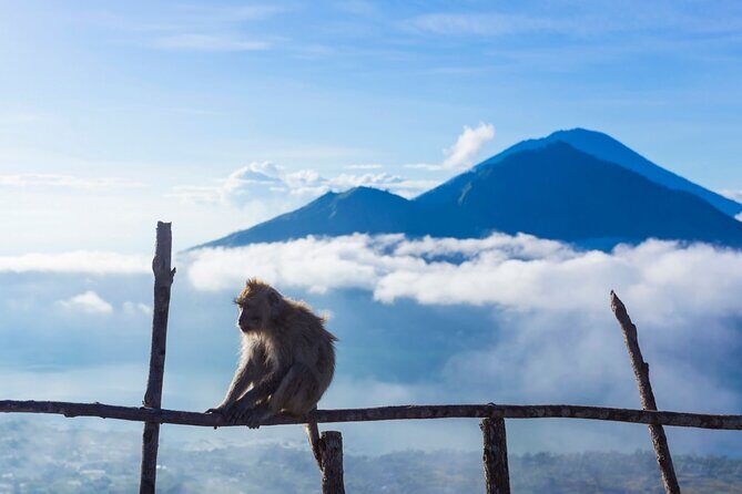 Private Mount Batur Sunrise Trekking Tour - The Sum Up