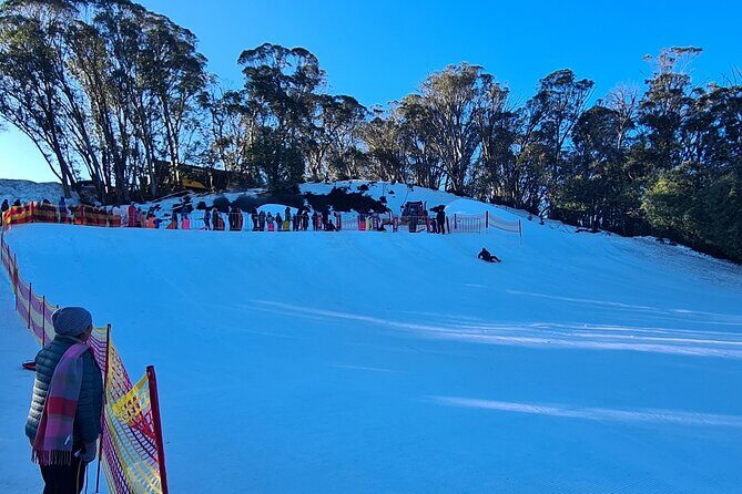 Private Mount Buller Snow and Ski Tour from Melbourne - The Final Word: Is It the Right Snow Day for You?