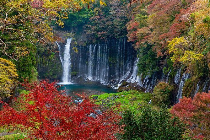 Private Mount Fuji and Hakone City Tour from Tokyo - What We Loved (and What to Consider)