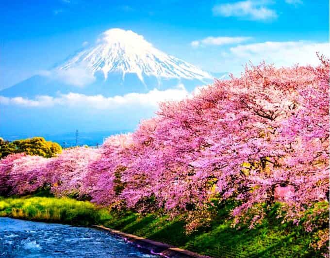 Private Mount Fuji sightseeing Day trip with English Guide - Breaking Down the Itinerary