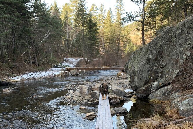 Private Mount Rushmore and Flume Trail Hike - Final Thoughts: Who Will Love This Tour?