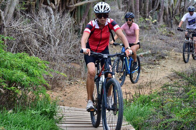 Private Mountain Bike Tour in Aruba - Equipment and Safety