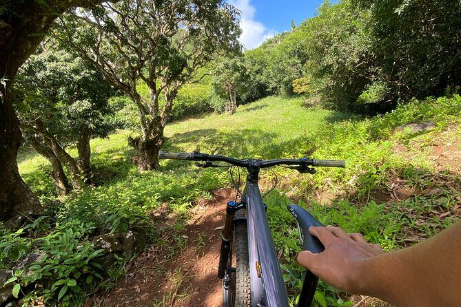 Private Mountain Biking Experience in the Wild South of Mauritius - The Location: A Private Domain with a View