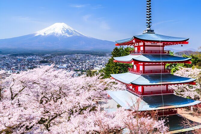 Private Mt. Fuji Day Trip from Tokyo with English-Speaking Driver - Practical Considerations and Value