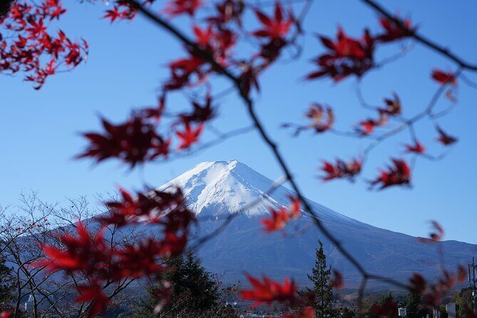 Private Mt. Fuji Day Trip from Tokyo with English-Speaking Driver - Final Thoughts