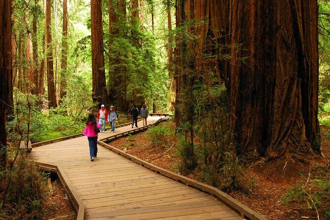 Private Muir Woods, Sausalito, and Marin Headlands Tour - Value and Practicality