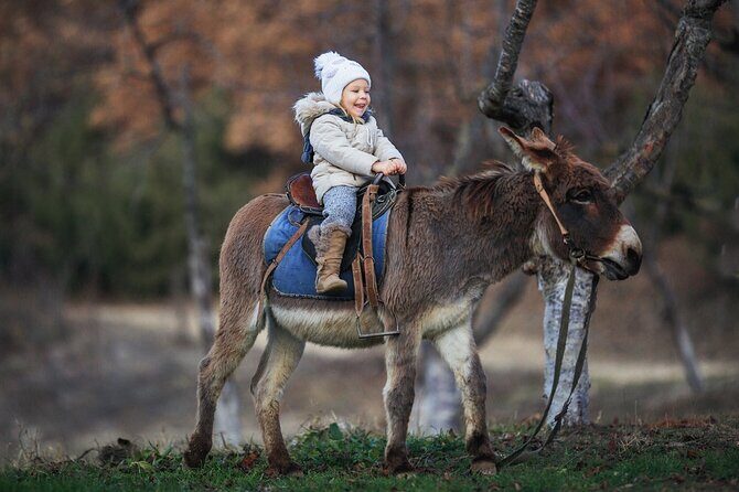 Private Mules Tour from Chefchaouen - What Travelers Can Expect in Terms of Value