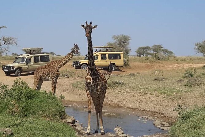 Private Multi day Safari tour in Tanzania - Frequently Asked Questions