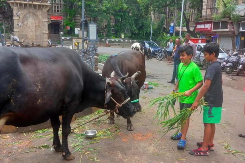 Private Mumbai Sightseeing Tour - A Detailed Look at the Experience