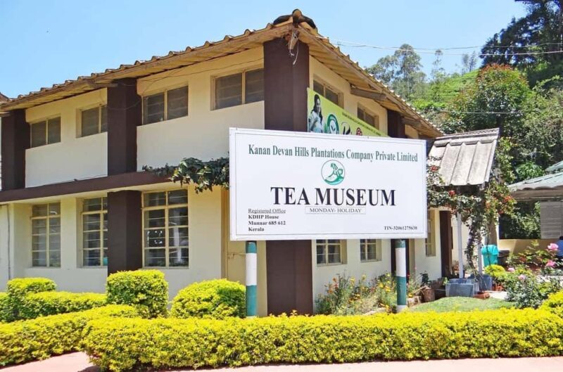 "Private Munnar Day Tour: Trekking & Scenic Highlights" - Key Points