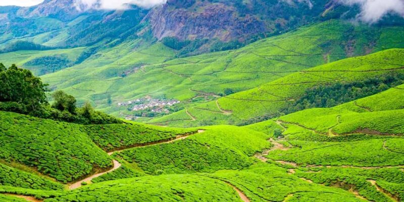 "Private Munnar Day Tour: Trekking & Scenic Highlights" - A Detailed Look at the Tour