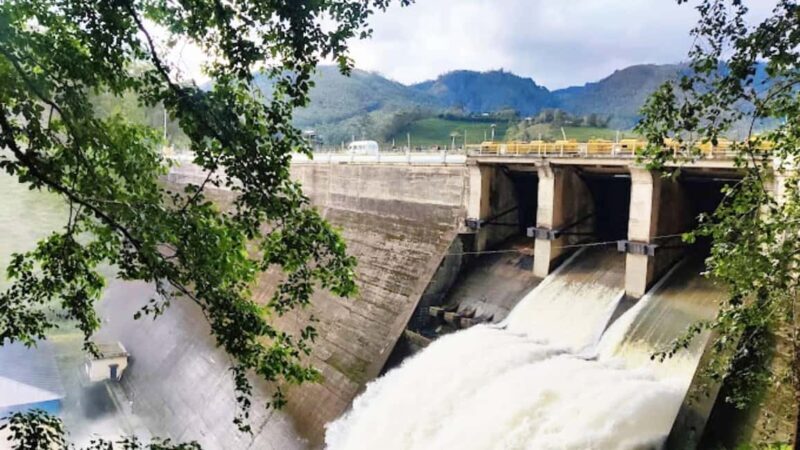 "Private Munnar Day Tour: Trekking & Scenic Highlights" - Who Will Enjoy This Tour?
