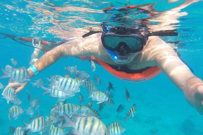 Private MUSA Snorkeling Experience at Isla Mujeres and Cancun - An In-Depth Look at the Tour