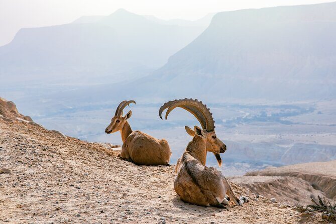 Private Muscat tour to the Grand Canyon Nizwa - Who Will Enjoy This Experience?