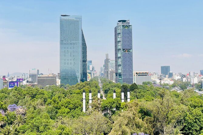 Private Museo Nacional Walking Tour - Why Consider a Private Walking Tour in Mexico City?