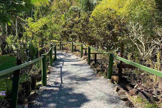 Private Nadi Temple Tour - An In-Depth Look at the Nadi Temple Tour