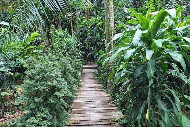 Private Nadi Temple Tour - Final Thoughts