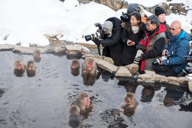 Private Nagano 1-Day Tour:Snow Monkeys,Zenko-ji,Obuse,Sake,Onsen - Final Thoughts: Who Should Consider This Tour?