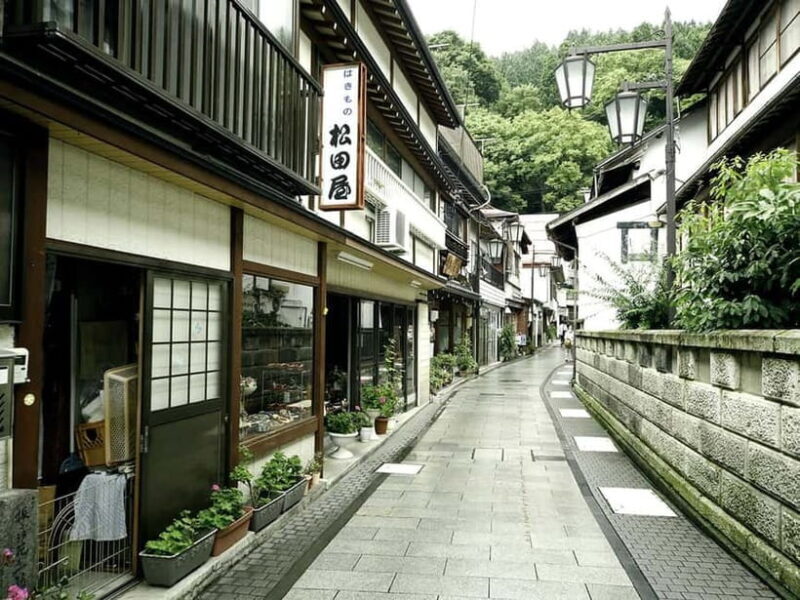 Private Nagano Day Trip: Snow Monkeys & Historic Temples - The Sum Up