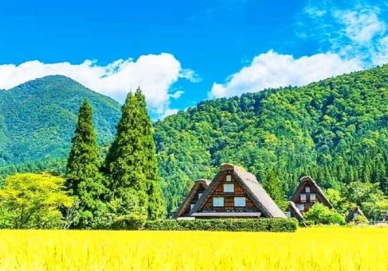 Private Nagoya & Shirakawa-go w/ English Driver - An Introduction to the Experience