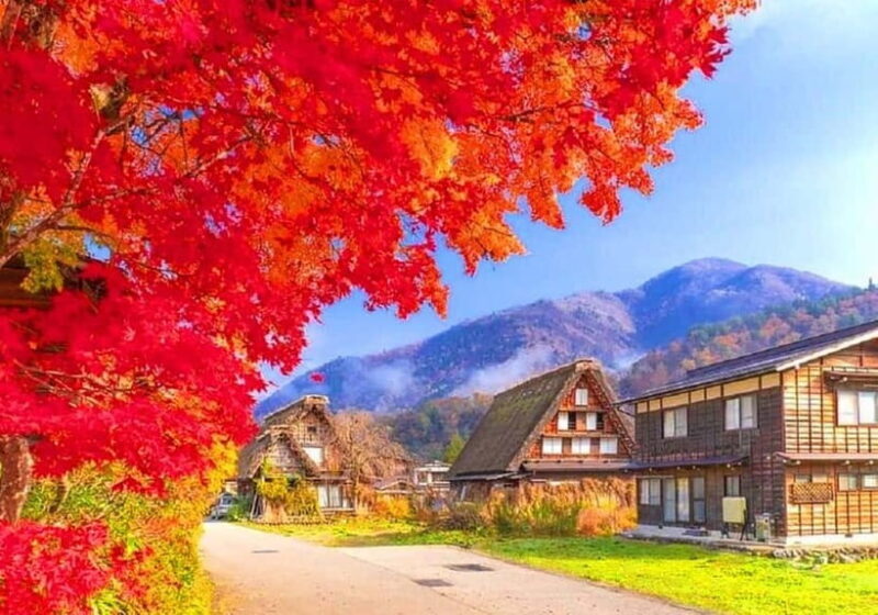 Private Nagoya & Shirakawa-go w/ English Driver - How Well Does It Value for Money?