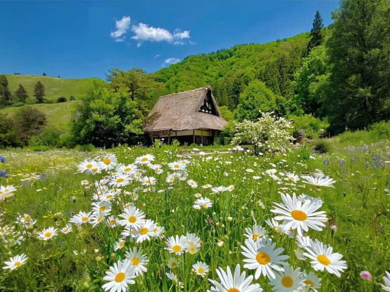 Private Nagoya & Shirakawa-go w/ English Driver - Who Should Book This Tour?