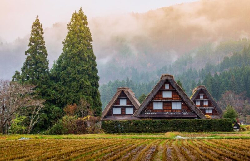 Private Nagoya Tour with Expert English Guide & Hotel Pickup - A Closer Look at the Tour Experience