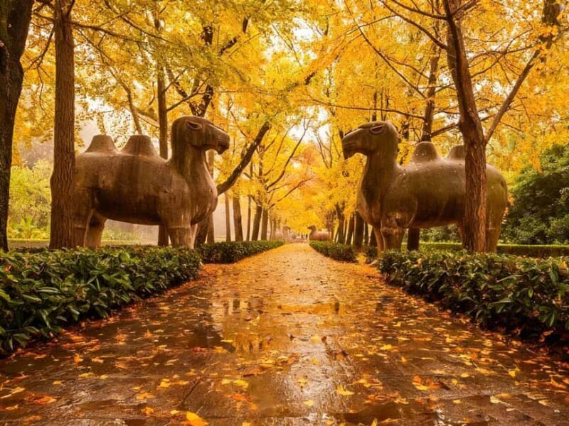 Private Nanjing Day Tour from Shanghai by Bullet Train - Returning to Shanghai