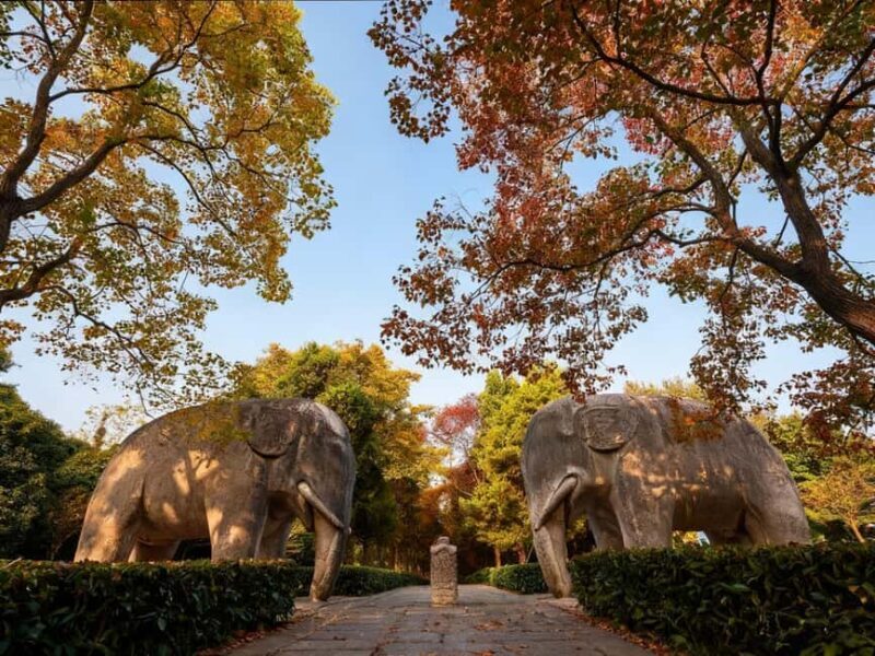 Private Nanjing Day Tour from Shanghai by Bullet Train - Final Thoughts