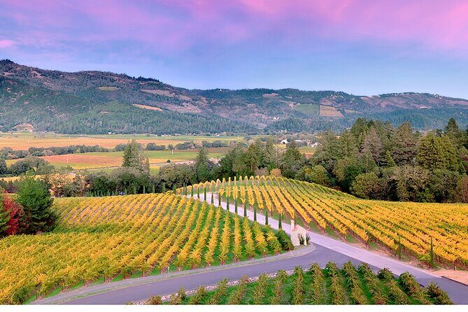 Private Napa Wine Tour Up To 6 Guests - Key Points