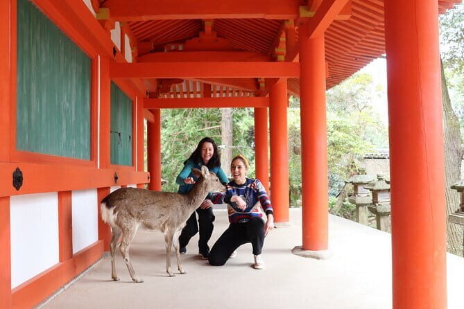 Private Nara Tour and Sake Tasting (Departing from Kyoto/Nara) - Introduction