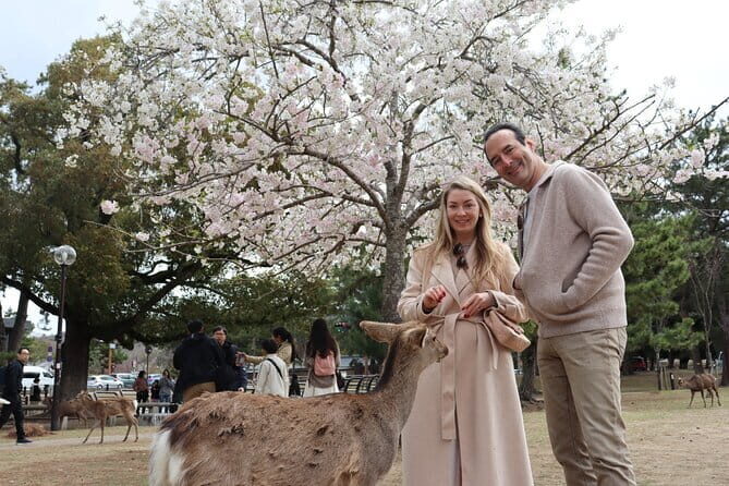 Private Nara Tour and Sake Tasting (Departing from Kyoto/Nara) - Key Points