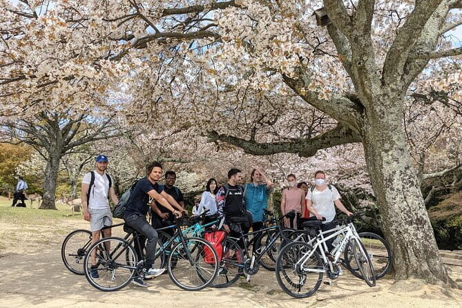 Private Nara Tour and Sake Tasting (Departing from Kyoto/Nara) - The Sum Up