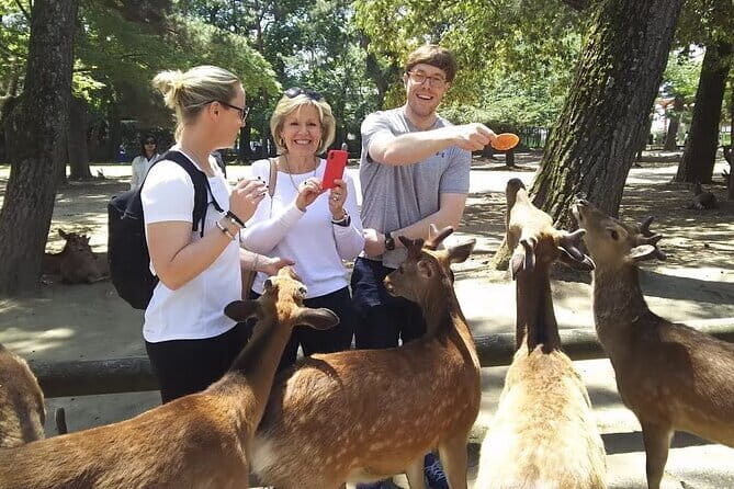 Private Nara Tour and Sake Tasting (Departing from Kyoto/Nara) - FAQ