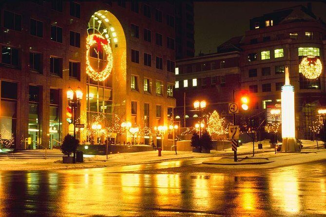Private New York Christmas Tour with Driver and Guide - Who Is This Tour Best For?