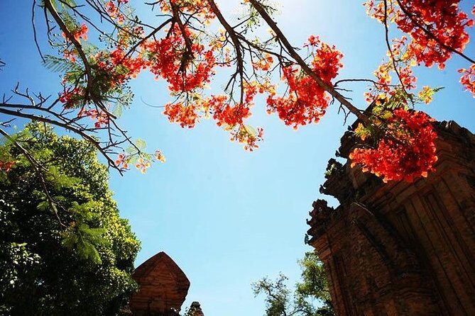 Private Nha Trang city excursion (half day program) - A Closer Look at the Tour Itinerary