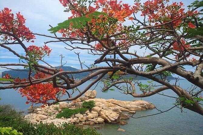 Private Nha Trang city excursion (half day program) - What Travelers Say