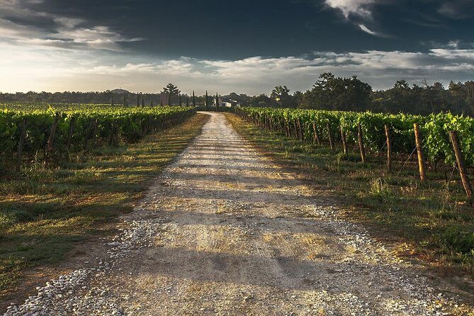 Private Niagara Falls-Niagara-on-the-Lake Day Trip and Winery Tour from Toronto - Transportation and Group Dynamics