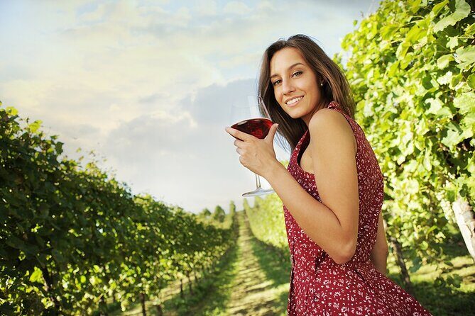 Private Niagara on the Lake Wine Tour with Dinner - Breakdown of the Itinerary