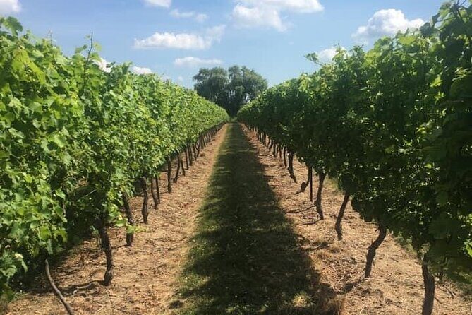 Private Niagara on the Lake Wine Tour with Dinner - Authentic Experiences and Traveler Insights