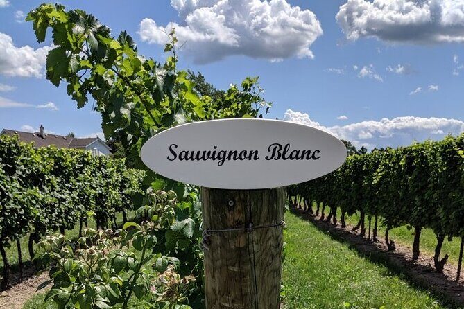 Private Niagara on the Lake Wine Tour with Dinner - How to Make the Most of Your Day