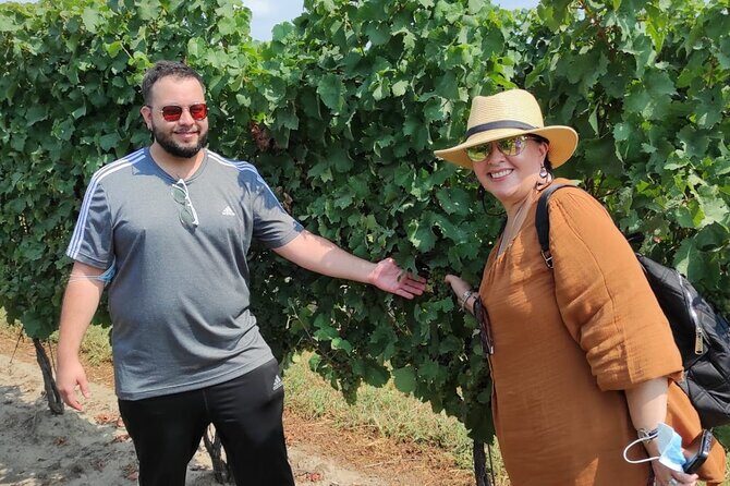 Private Niagara Wine Tour with Cheese and Charcuterie - Key Points