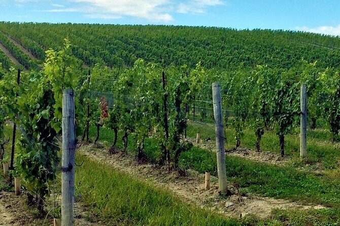 Private Niagara Wine Tour with Cheese and Charcuterie - FAQ