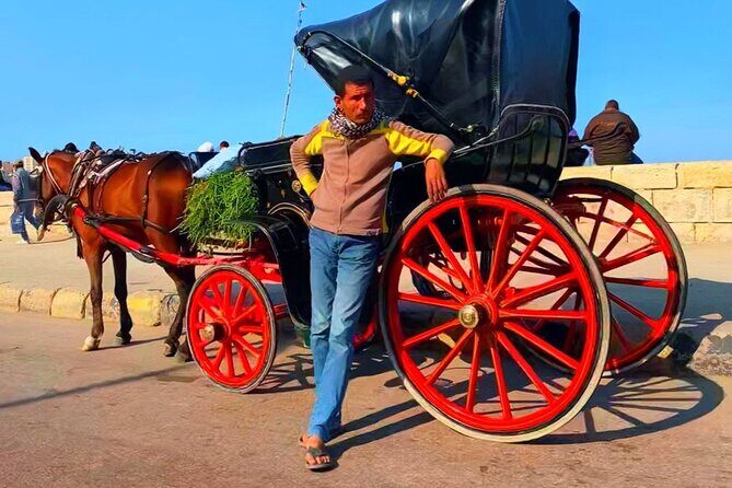 Private Night Tour In Alexandria By Horse Carriage Ride And Free Walking Tour - A Practical Guide to the Private Night Tour in Alexandria