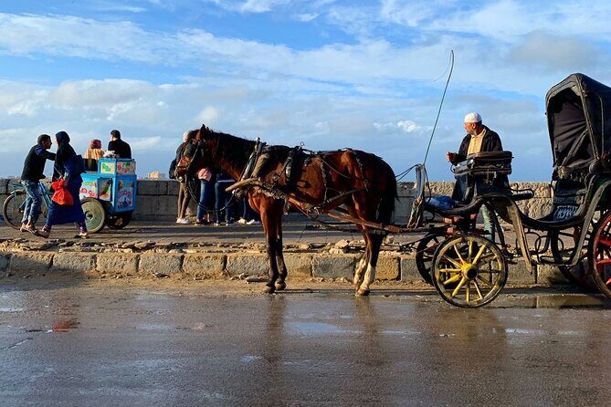 Private Night Tour In Alexandria By Horse Carriage Ride And Free Walking Tour - Who Should Consider This Tour?