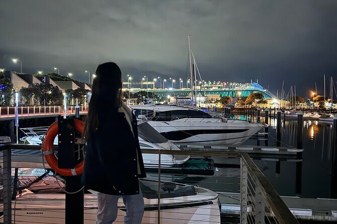 Private Night Tour of Auckland, Sky Tower Bar, Bridge & Museum - The Practicalities and What They Mean for You