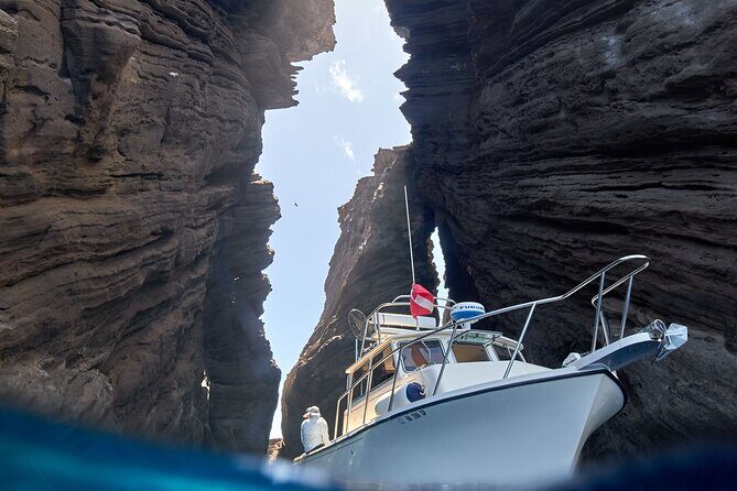 Private Niihau Scuba Charter with 2 or 3 Tank Dive Option - Marine Life and Diving Highlights