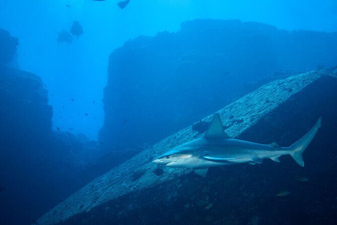 Private Niihau Scuba Charter with 2 or 3 Tank Dive Option - Why This Tour Stands Out