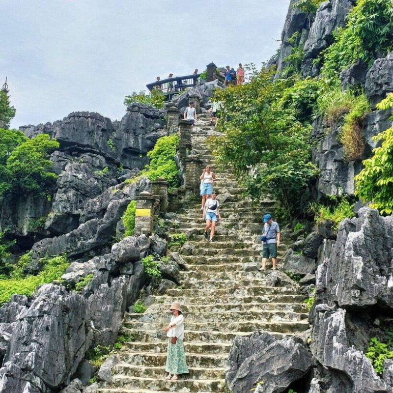 Private Ninh Binh Full Day Tour by Luxury Limousine - Who Should Consider This Tour?