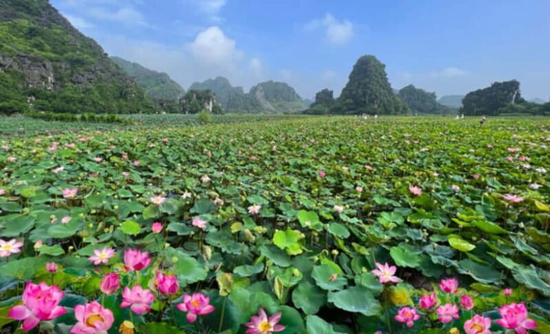 Private Ninh Binh Tour: Hoa Lu, Bai Dinh, Trang An &Mua Cave - The Sum Up